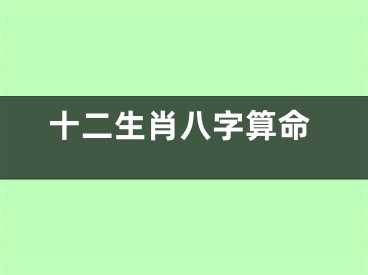 十二生肖八字算命