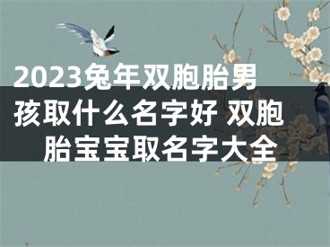 2023兔年双胞胎男孩取什么名字好 双胞胎宝宝取名字大全