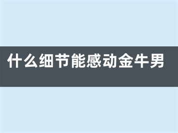 什么细节能感动金牛男