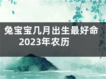 兔宝宝几月出生最好命2023年农历
