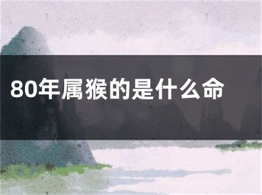 80年属猴的是什么命