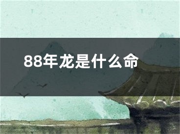 88年龙是什么命