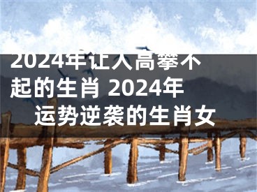 2024年让人高攀不起的生肖 2024年运势逆袭的生肖女