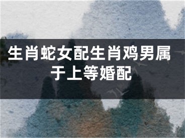 生肖蛇女配生肖鸡男属于上等婚配