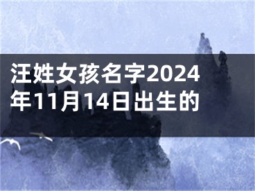 汪姓女孩名字2024年11月14日出生的