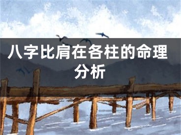 八字比肩在各柱的命理分析