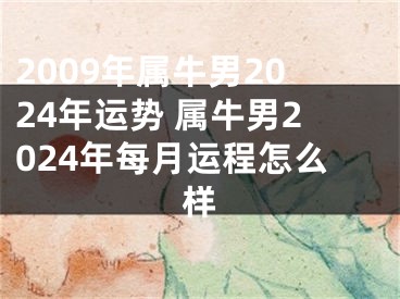 2009年属牛男2024年运势 属牛男2024年每月运程怎么样