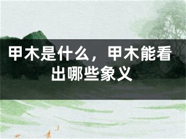 甲木是什么，甲木能看出哪些象义