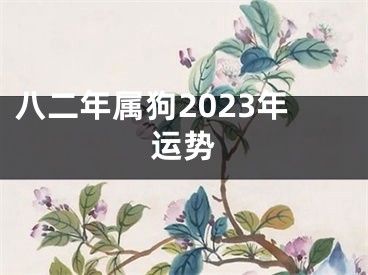 八二年属狗2023年运势