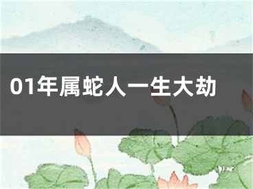 01年属蛇人一生大劫