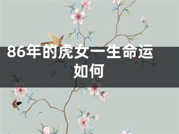 86年的虎女一生命运如何