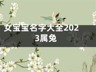 女宝宝名字大全2023属兔
