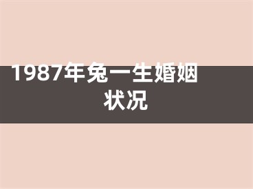 1987年兔一生婚姻状况