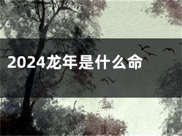 2024龙年是什么命