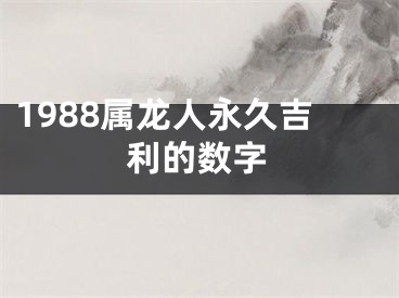 1988属龙人永久吉利的数字