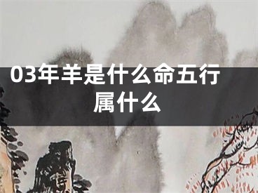 03年羊是什么命五行属什么