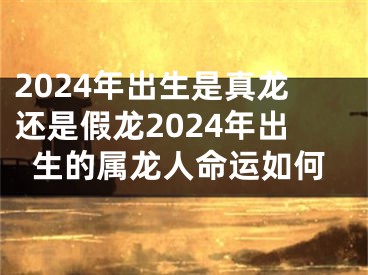 2024年出生是真龙还是假龙2024年出生的属龙人命运如何