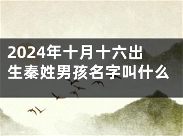 2024年十月十六出生秦姓男孩名字叫什么