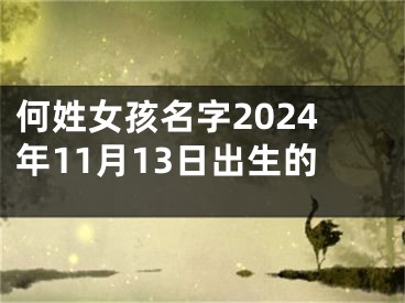 何姓女孩名字2024年11月13日出生的