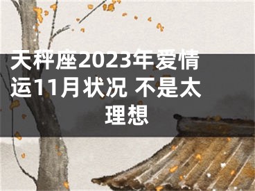 天秤座2023年爱情运11月状况 不是太理想