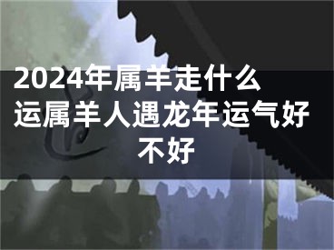 2024年属羊走什么运属羊人遇龙年运气好不好