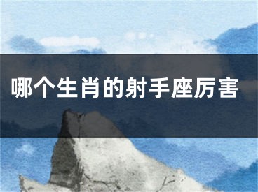 哪个生肖的射手座厉害