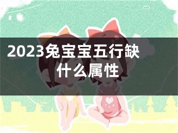 2023兔宝宝五行缺什么属性