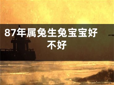 87年属兔生兔宝宝好不好