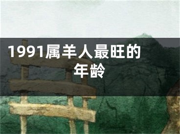 1991属羊人最旺的年龄