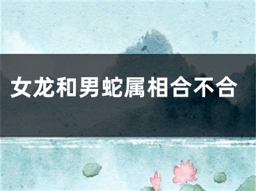 女龙和男蛇属相合不合