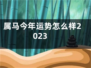 属马今年运势怎么样2023