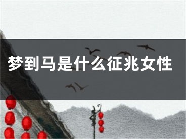 梦到马是什么征兆女性