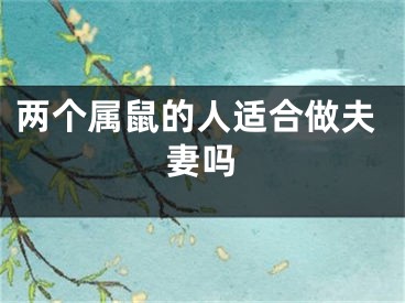 两个属鼠的人适合做夫妻吗
