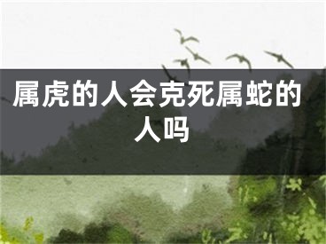 属虎的人会克死属蛇的人吗