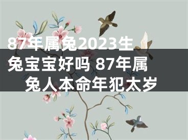 87年属兔2023生兔宝宝好吗 87年属兔人本命年犯太岁