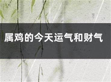 属鸡的今天运气和财气