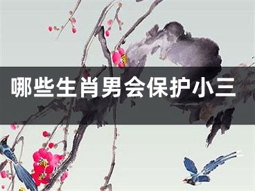 哪些生肖男会保护小三