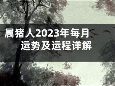 属猪人2023年每月运势及运程详解