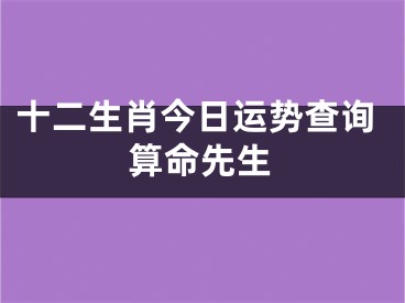 十二生肖今日运势查询算命先生