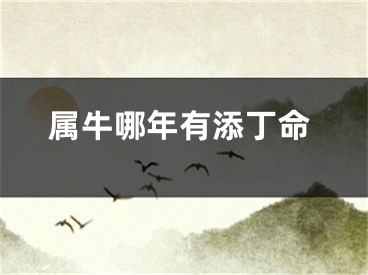 属牛哪年有添丁命