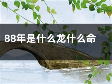 88年是什么龙什么命