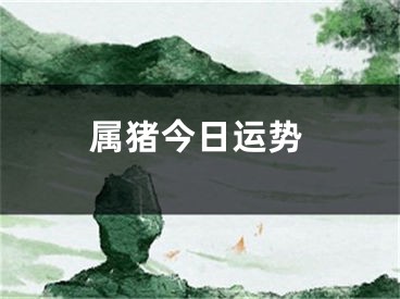 属猪今日运势