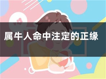 属牛人命中注定的正缘