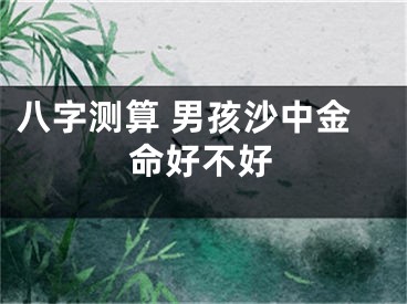 八字测算 男孩沙中金命好不好
