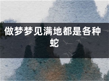 做梦梦见满地都是各种蛇