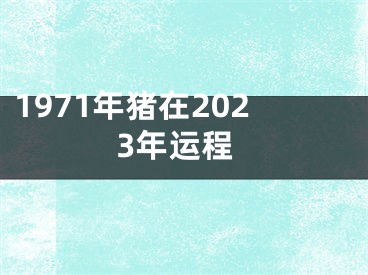 1971年猪在2023年运程