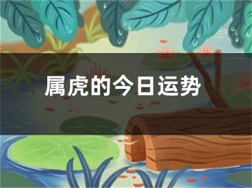属虎的今日运势