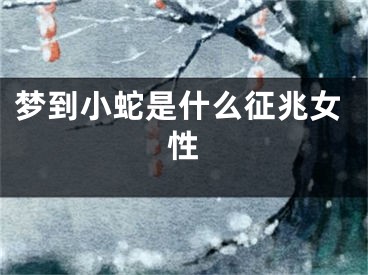 梦到小蛇是什么征兆女性