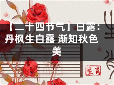 【二十四节气】白露：丹枫生白露 渐知秋色美