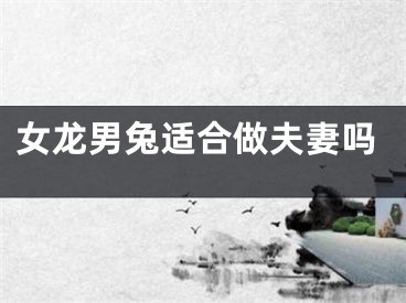 女龙男兔适合做夫妻吗